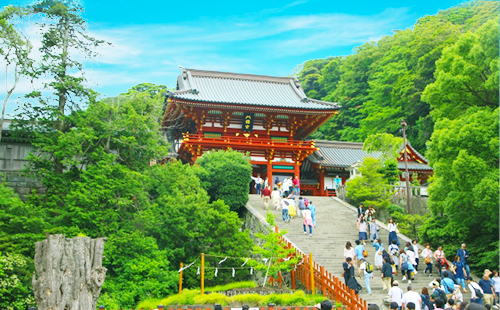 ハイヤー観光プランについてはこちら