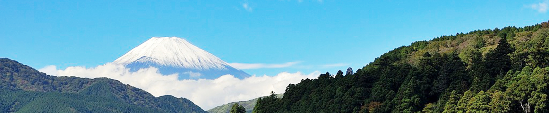 ハイヤー　観光プラン