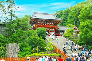 ハイヤー観光の詳細はこちら